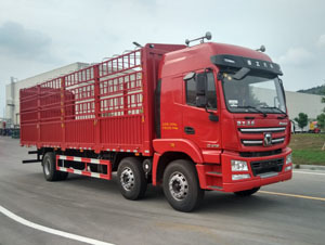 仓栅式8-9.6米载货车全解析 图片、参数、对比与报价指南