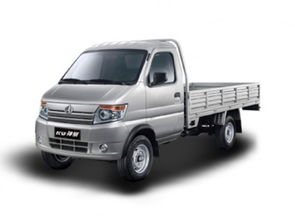 邢台神骐T20 2018款 1.3L CNG载货车标准型单排DAM13R 报价、降价趋势与市场分析